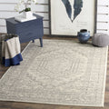 SAFAVIEH Adirondack Collection 4 Square Ivory / Silver ADR108B Oriental Medallion Non-Shedding Living Room Bedroom Accent Rug