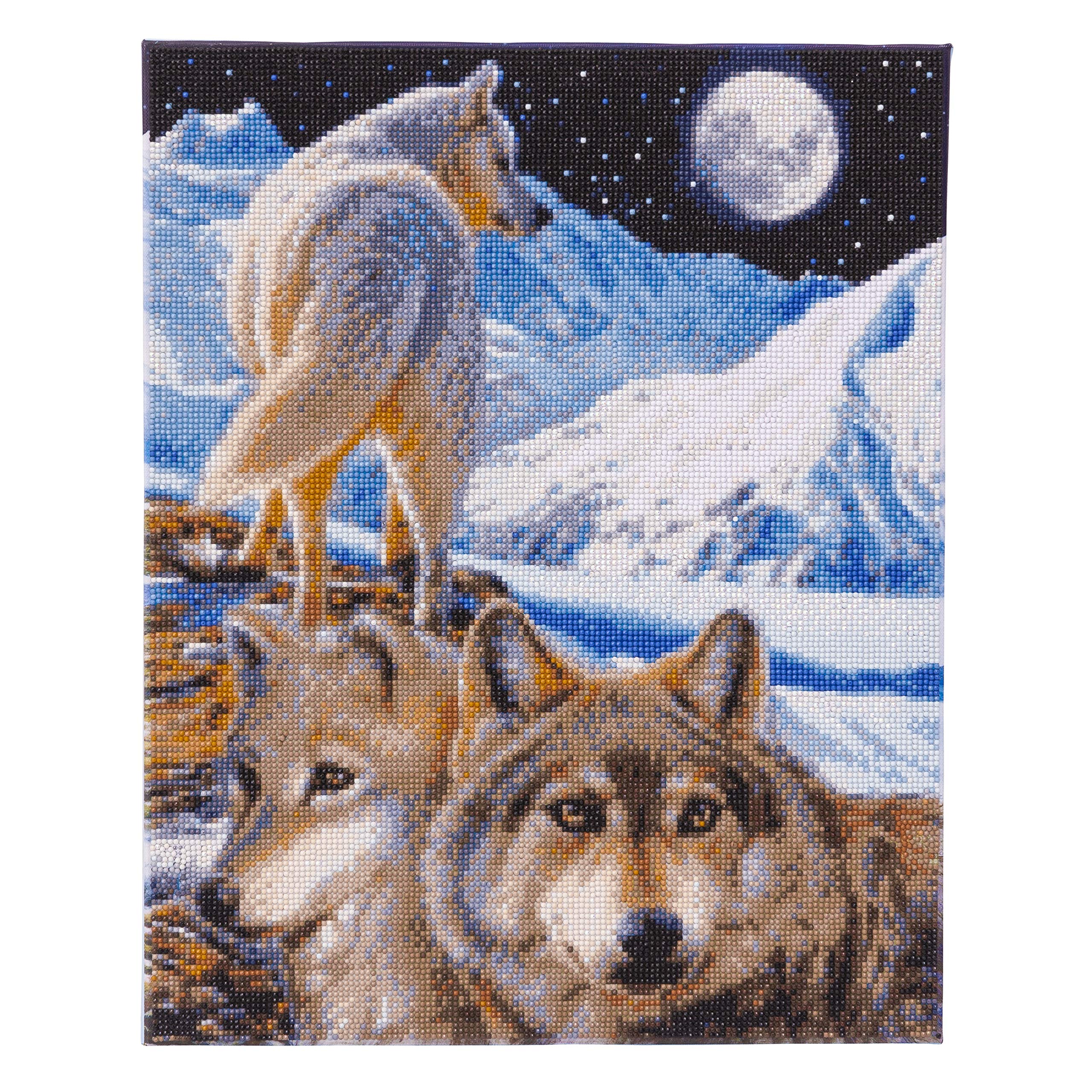 CRYSTAL ART The Sentinel 40 x 50 cm Portrait Framed Kit