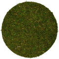 Supermoss (26310) Moss Soil Toppers (Place Mats), Fresh Green, 10' (3 Units)