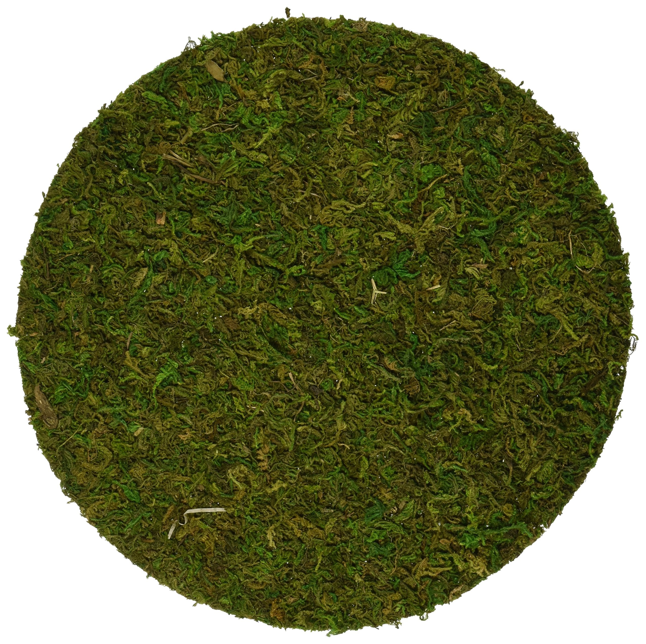 Supermoss (26310) Moss Soil Toppers (Place Mats), Fresh Green, 10' (3 Units)