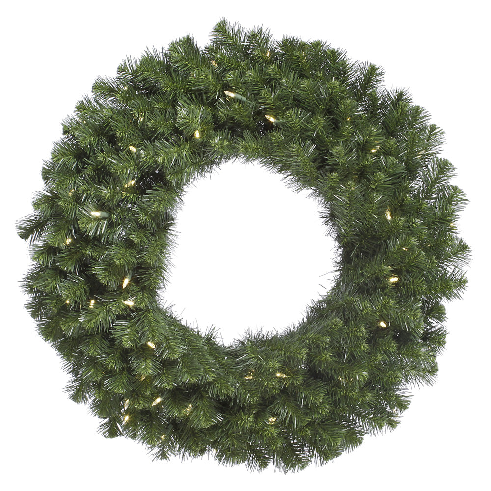 Vickerman 20 Inch  Douglas Fir Wreath 170T 50Wmwht Led  A808820Led