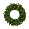 Vickerman 30 Inch  Douglas Fir Wreath 240T 50Wmwht Led  A808830Led