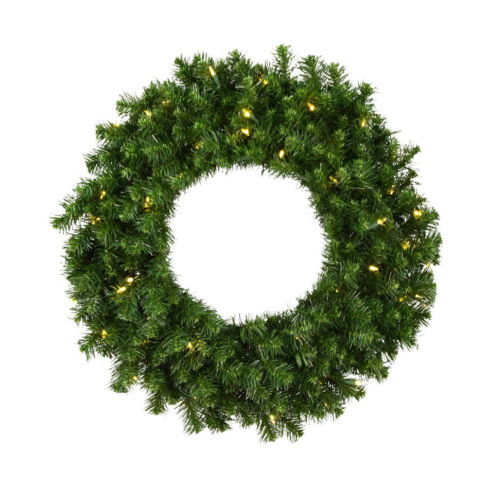 Vickerman 30 Inch  Douglas Fir Wreath 240T 50Wmwht Led  A808830Led