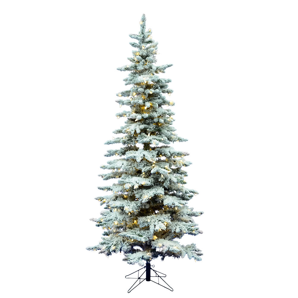 Vickerman 7.5 X 43 Inch  Flk Slim Utica 550Led Wmwht  A895076Led