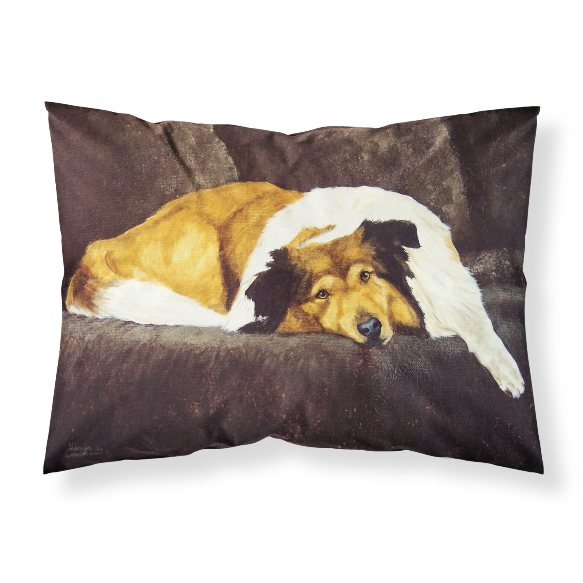 'Caroline'S Treasures Collie By Tanya And Craig Amberson Fabric Standard Pillowcase Amb1031Pillowcase, Multicolor'