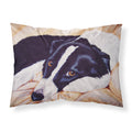 'Caroline'S Treasures Naptime Border Collie Fabric Standard Pillowcase Amb1080Pillowcase, Multicolor'