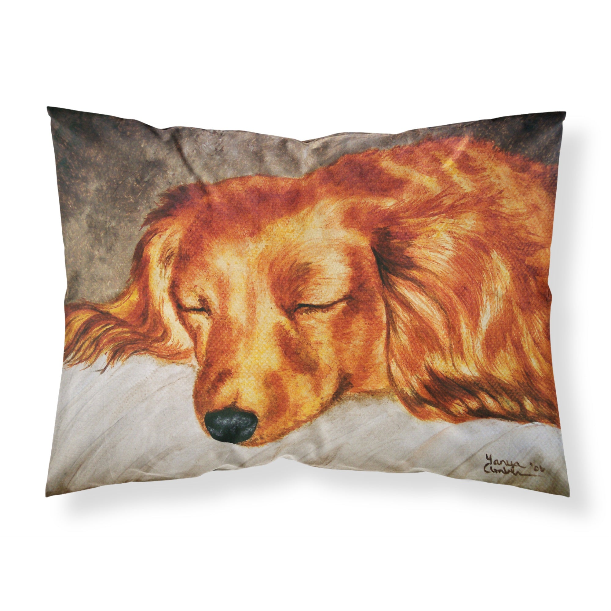 'Caroline'S Treasures Red Longhaired Dachshund Fabric Standard Pillowcase Amb1202Pillowcase, Multicolor'