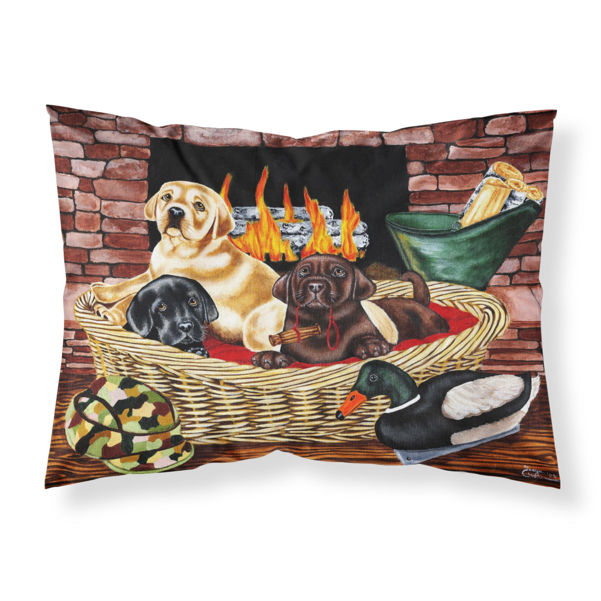 'Caroline'S Treasures The Next Generation Labrador Fabric Standard Pillowcase Amb1362Pillowcase, Multicolor'