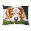 'Caroline'S Treasures Cavalier Spaniel In The Grass Fabric Standard Pillowcase Amb1395Pillowcase, Multicolor'