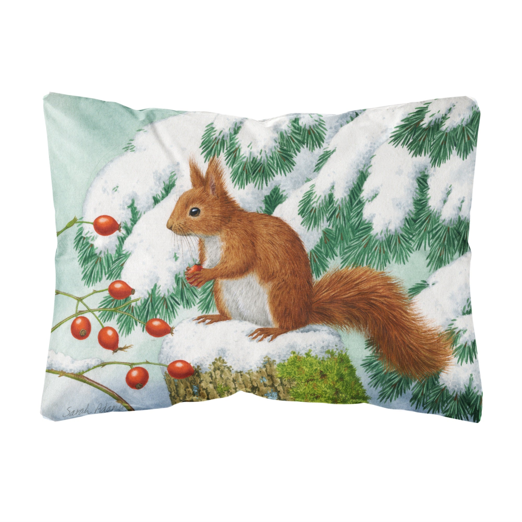 'Caroline'S Treasures Asa2172Pw1216 Winter Red Squirrel Fabric Decorative Pillow, Large, Multicolor'