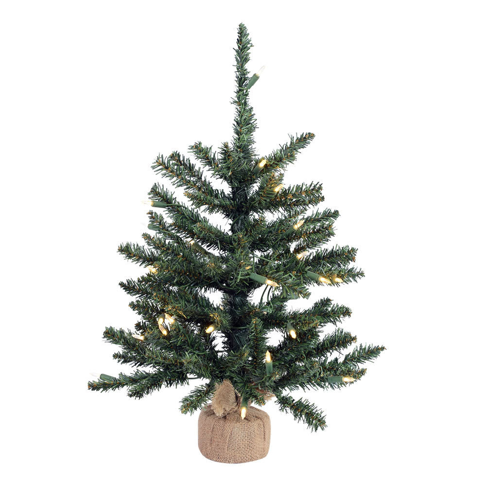 Vickerman 24 Inch  Anoka W/Burlap Base Duraled 35Wmwht  B160425Led