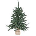 Vickerman 30 Inch  Anoka Pine W/Burlap Base 172T  B160430