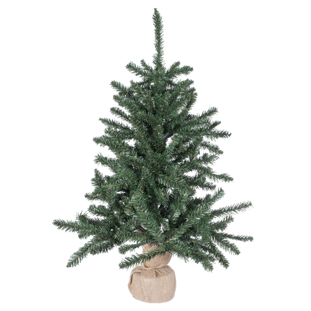 Vickerman 30 Inch  Anoka Pine W/Burlap Base 172T  B160430