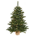 Vickerman 36 Inch  Anoka W/Burlap Base Duraled 100Wmwht  B160437Led
