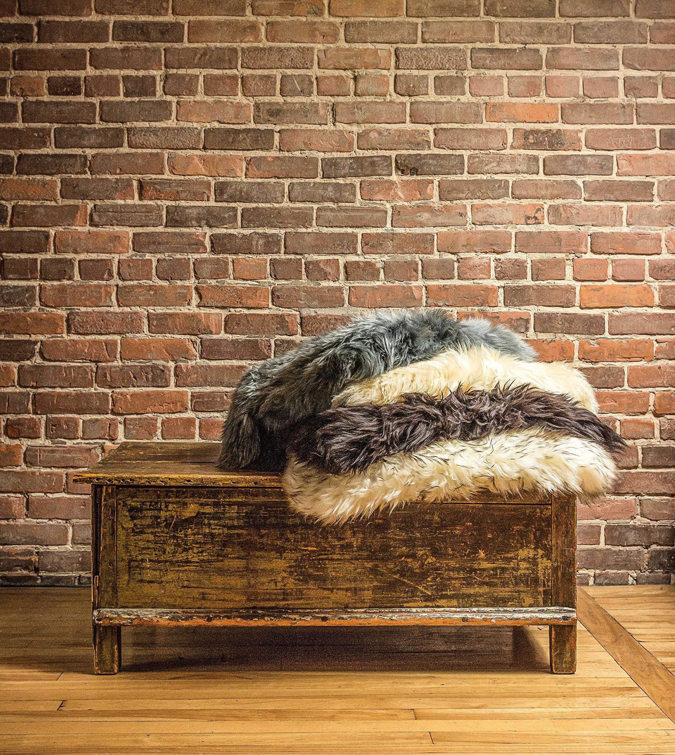 HomeRoots 2' X 3' Black New Zealand Natural Sheepskin Rug