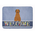 Carolines Treasures Briard Brown Welcome Floor Mat, 19 x 27, Multicolor