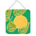 CarolineS Treasures Snail Metal Print, 6 Inch  Inch  X 6 Inch  Inch , Multicolor