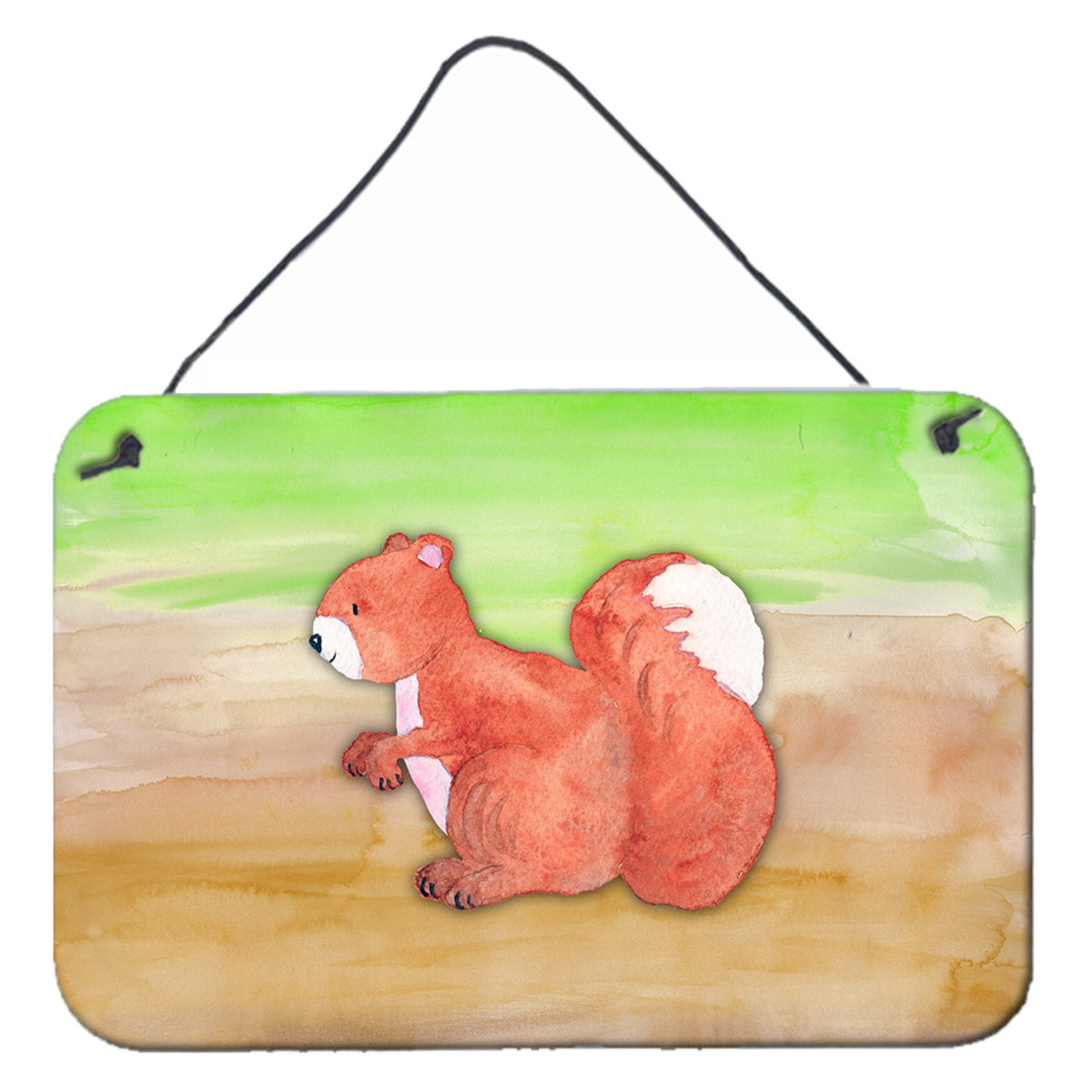 CarolineS Treasures Squirrel Watercolor Metal Print, 8 Inch  Inch  X 12 Inch  Inch , Multicolor