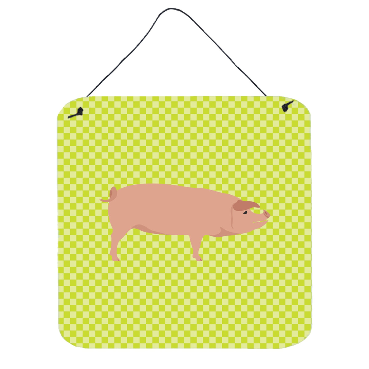 CarolineS Treasures Green American Landrace Pig Metal Print, 6 Inch  Inch  H X 6 Inch  Inch  W