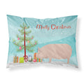 'Caroline'S Treasures Welsh Pig Christmas Pillowcase, Standard, Multicolor'