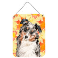 CarolineS Treasures Australian Shepherd Fall Metal Print, 16 Inch  Inch  X 12 Inch  Inch , Multicolor