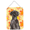 CarolineS Treasures Black Labrador Fall Metal Print, 16 Inch  Inch  X 12 Inch  Inch , Multicolor