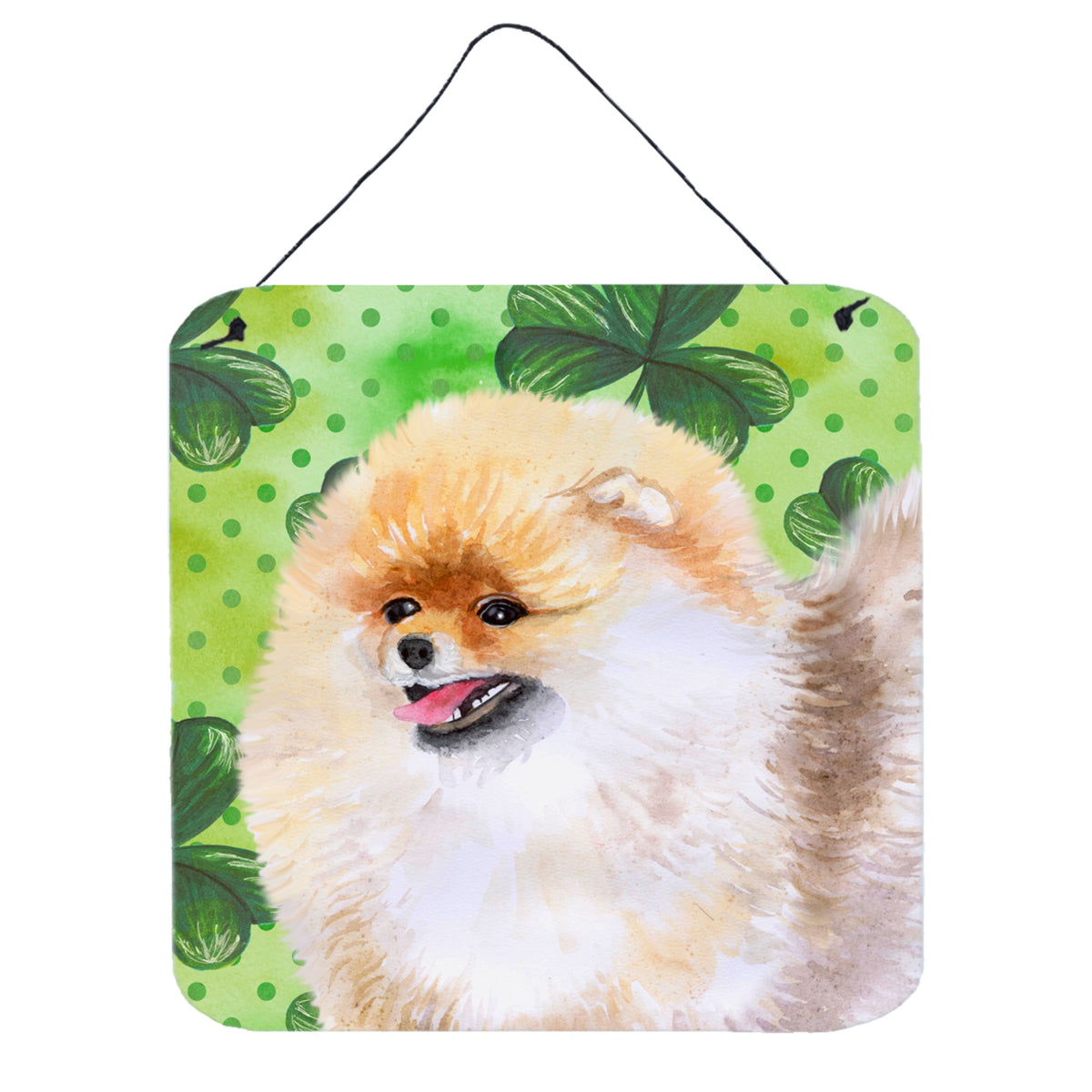 CarolineS Treasures Pomeranian Metal Print, 6H X 6W, St PatrickS Day