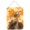 CarolineS Treasures Doberman Pinscher Fall Metal Print, 16 Inch  Inch  X 12 Inch  Inch , Multicolor