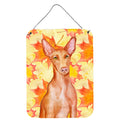 CarolineS Treasures Pharaoh Hound Fall Metal Print, 16 Inch  Inch  X 12 Inch  Inch , Multicolor