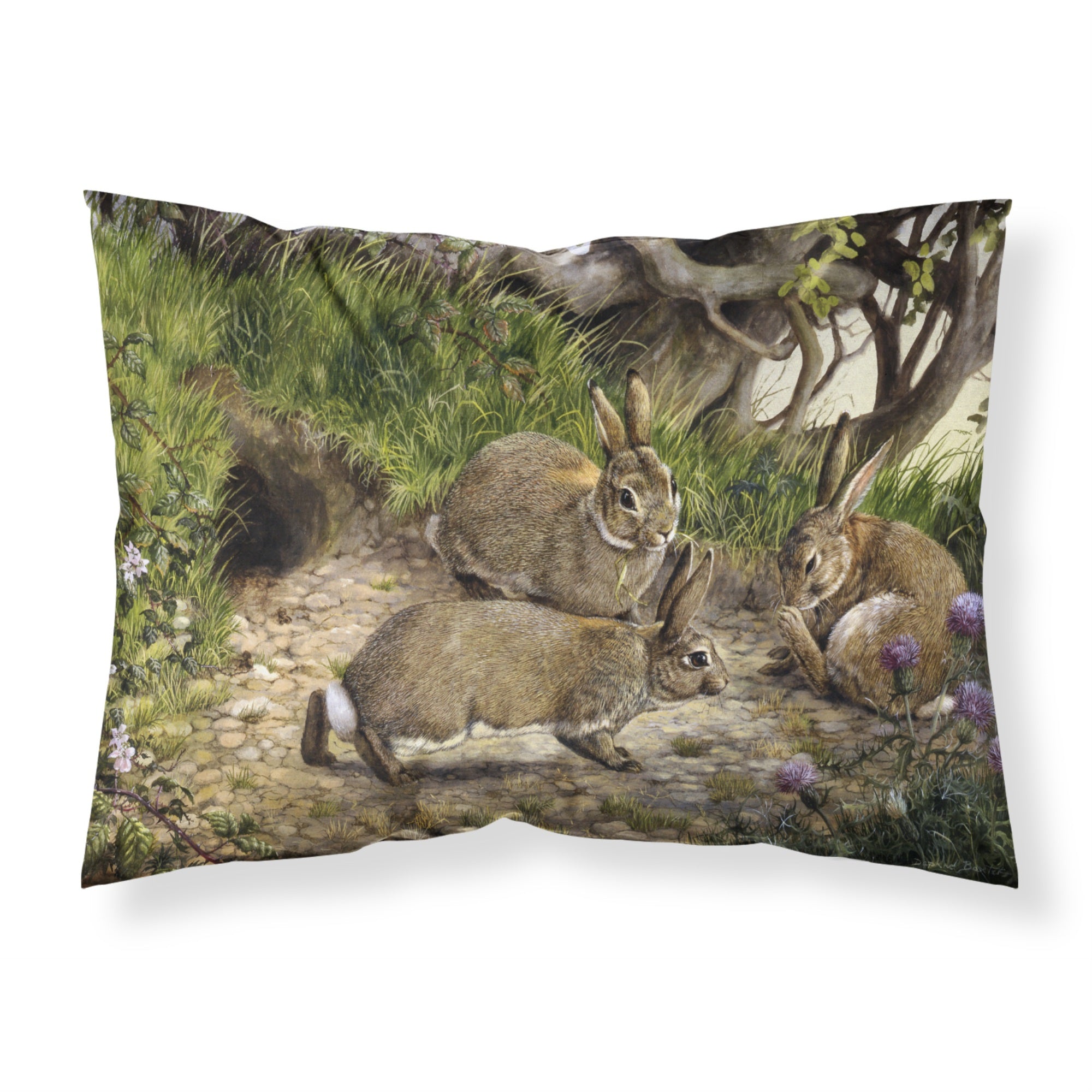 'Caroline'S Treasures Rabbit Hole Fabric Standard Pillowcase Bdba0136Pillowcase, Multicolor'