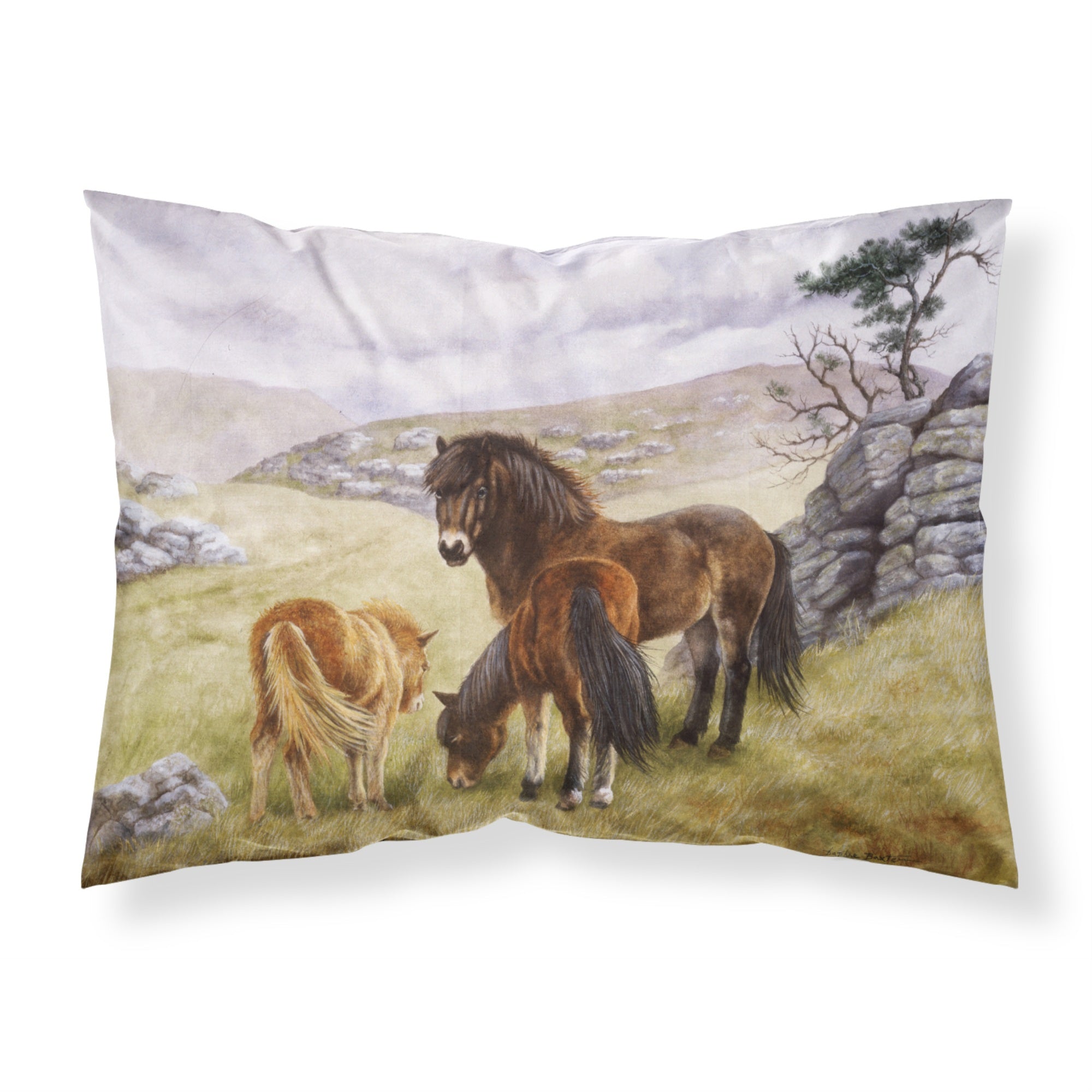 'Caroline'S Treasures Horses In The Meadow Fabric Standard Pillowcase Bdba0189Pillowcase, Multicolor'