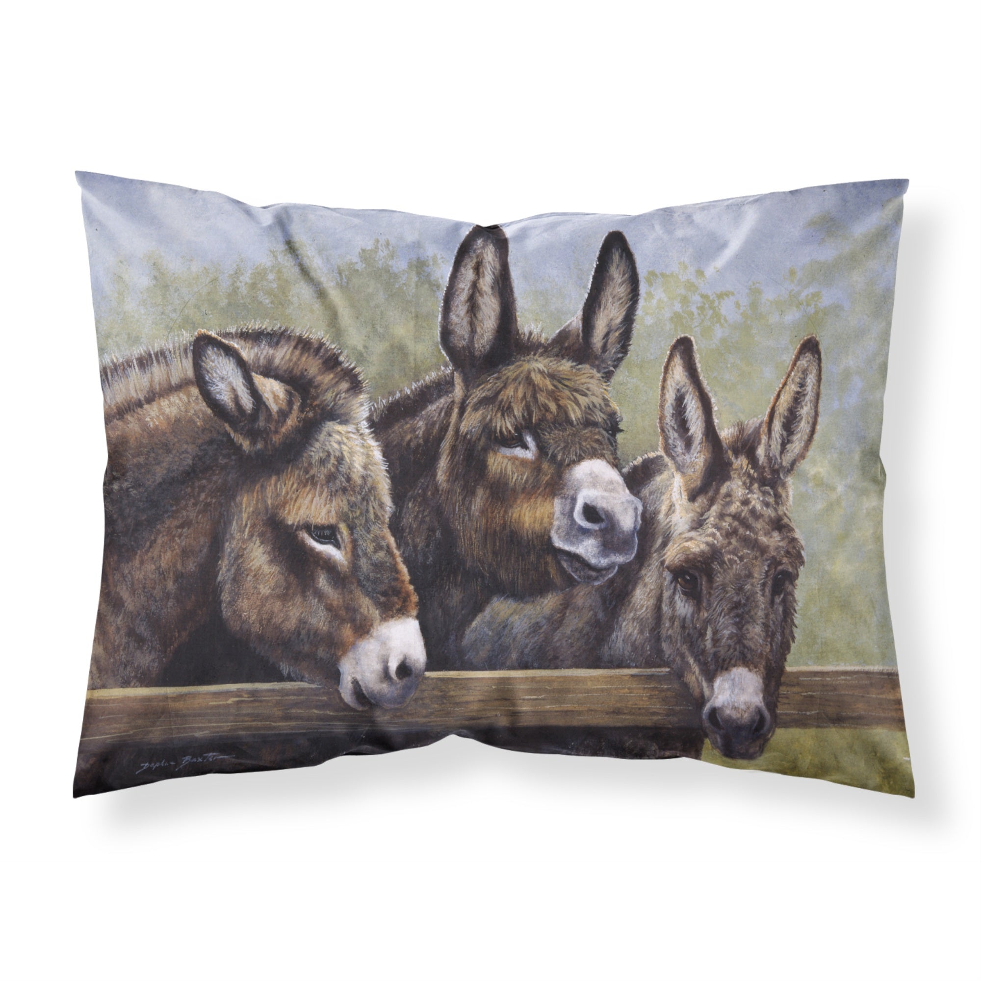 'Caroline'S Treasures Donkeys By Daphne Baxter Fabric Standard Pillowcase Bdba0235Pillowcase, Multicolor'