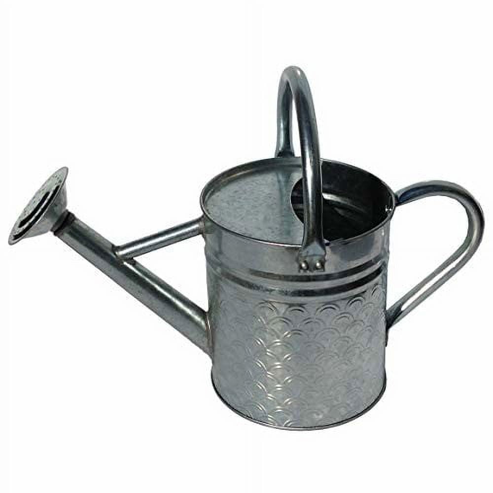 Gardener Select Gsaw8105Sz 2.4 Litre Galvanized Watering Can
