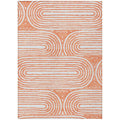 Chantille Acn540 Salmon 26 X 310 Rug
