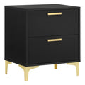 Lif 25 Inch Modern 2 Drawer Nightstand, Gold Metal Accents, Jet Black
