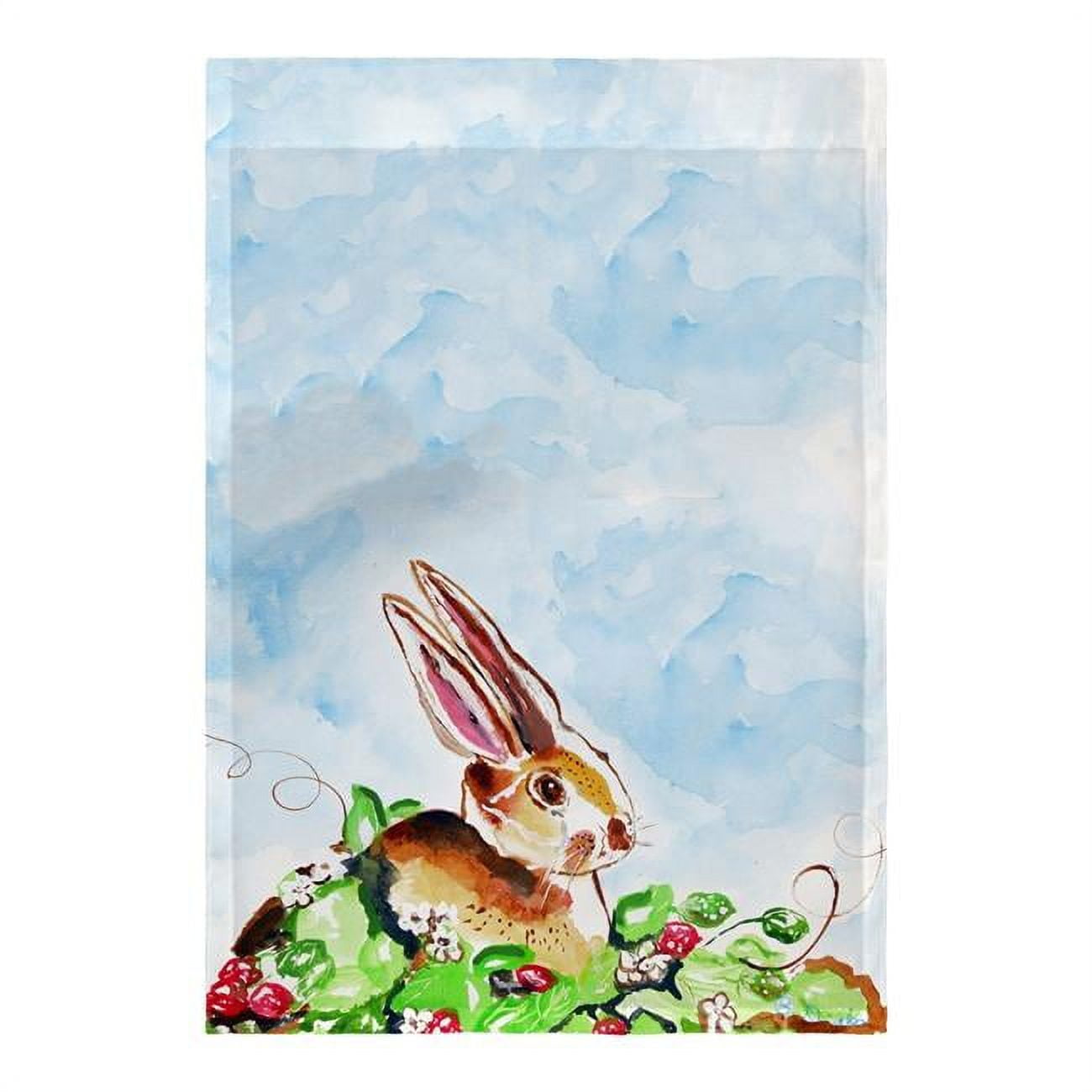 Betsy Drake Fl815 Jack Rabbit R Flag - 12.5 X 18 In.
