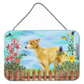 CarolineS Treasures Italian Greyhound Spring Metal Print, 8 Inch  Inch  X 12 Inch  Inch , Multicolor