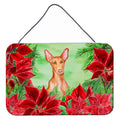 CarolineS Treasures Pharaoh Hound Poinsettias Metal Print, 8 Inch  Inch  X 12 Inch  Inch , Christmas Poinsettas