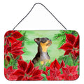 CarolineS Treasures Miniature Pinscher #2 Poinsettias Metal Print, 8 Inch  Inch  X 12 Inch  Inch , Christmas Poinsettas