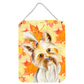 CarolineS Treasures Yorkie Yorkshire Terrier Fall Metal Print, 16 Inch  Inch  X 12 Inch  Inch , Multicolor