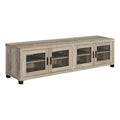 Sachin Rectangular TV Console with Glass Doors