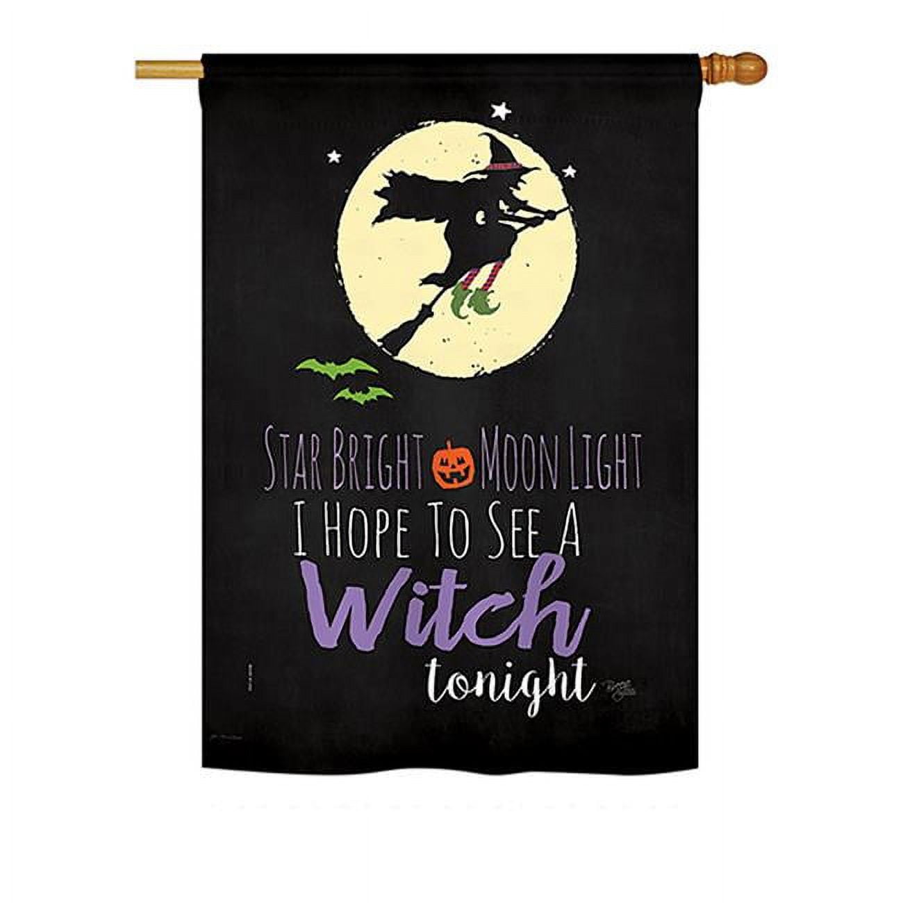 Breeze Decor Bd-Ho-H-112073-Ip-Bo-Ds02-Us 28 X 40 In. Seasonal Halloween Impressions Decorative Vertical House Flag - Star Brigh