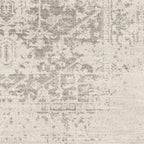 3' x 5' Distressed Oriental Area Rug in Light Grey / Beige