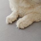 Waterproof Scratch Proof Sofa Protector Throw Blanket, Couch Cover for Pets & Kids