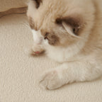 Luxurious Teddy Velvet Solid Sofa Towel - Non-Slip Waterproof Sofa Cover Furniture Protector and Pet Couch Cover