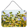 Water Hyacinth By Ferris Hotard Wall Or Door Hanging Prints