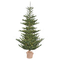 Vickerman 4 X 32 Inch  Alberta Spruce 150Led Wmwht  G160241Led