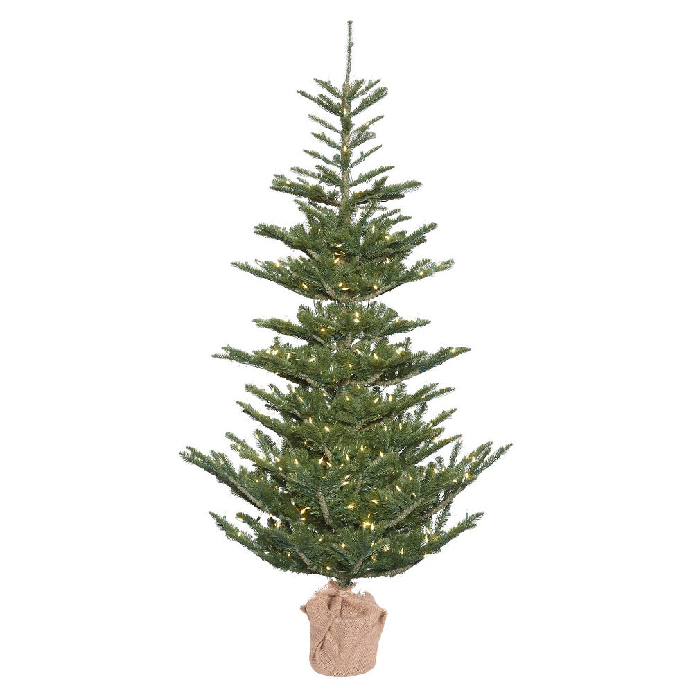 Vickerman 4 X 32 Inch  Alberta Spruce 150Led Wmwht  G160241Led