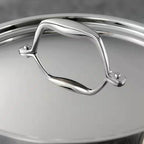 Stainless Steel Tri-Ply Clad 5-Quart Dutch Oven with Lid