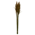 36 Aspen Gold Plume Reed Bundle 7oz